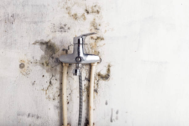 Best HVAC Mold Remediation in Crouch Mesa, NM