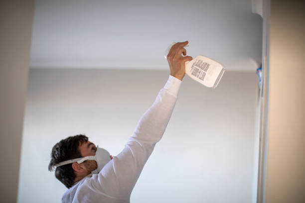 Best Attic Mold Remediation in Crouch Mesa, NM
